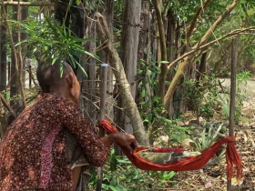  រូបលេខ៦