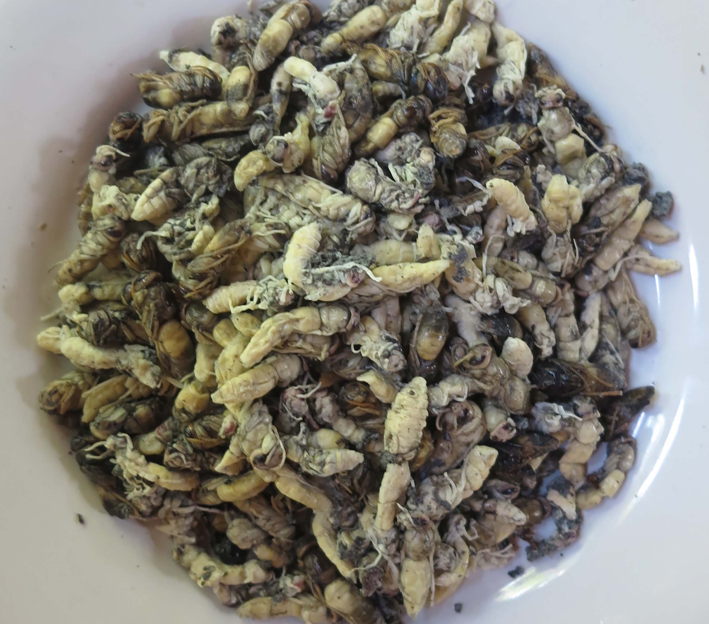 រូបលេខ៣