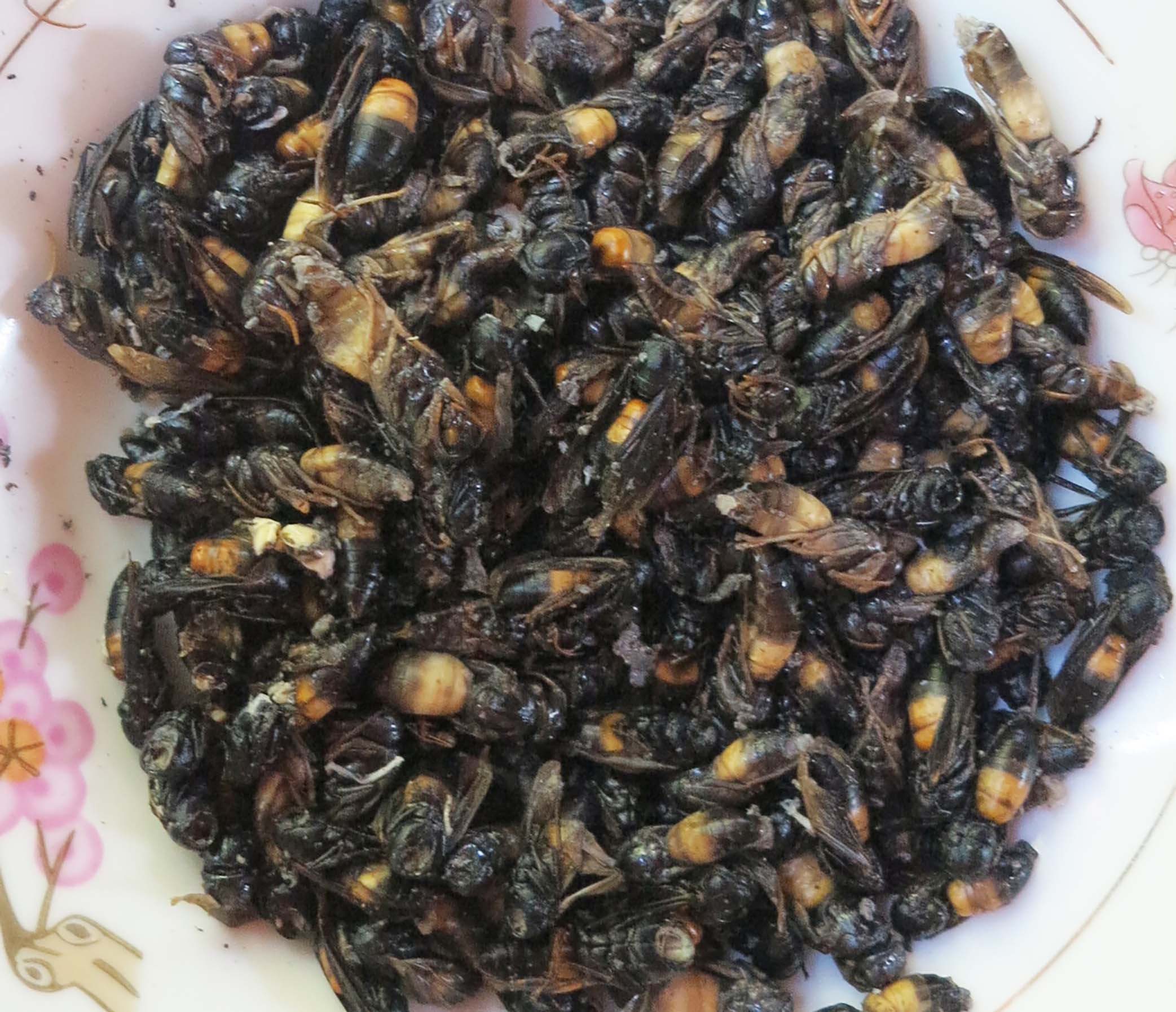 រូបលេខ៤