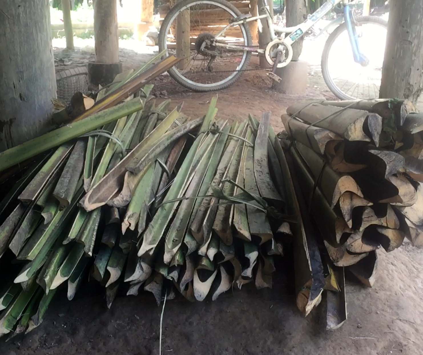 រូបលេខ១