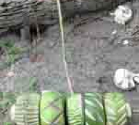 រូបលេខទី២៤