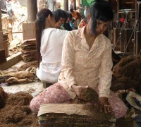 រូបលេខ ៥
