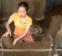រូបលេខ​ ១០