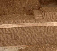 រូបលេខ​ ១១