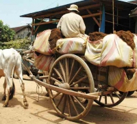 រូបលេខ​ ២
