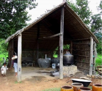 រូបលេខ២