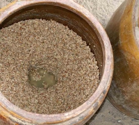 រូបលេខ៨