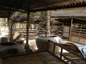 រូបលេខទី២១