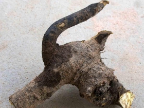 រូបលេខទី២៦