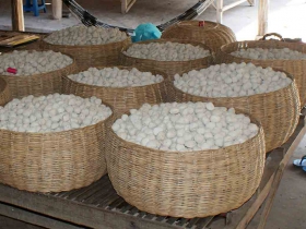 រូបលេខទី៤០