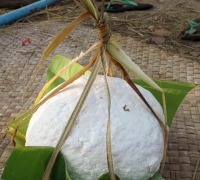 រូបលេខ៥