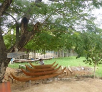 រូបលេខ២