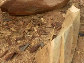 រូបលេខ៧