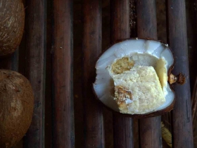  រូបលេខ៤