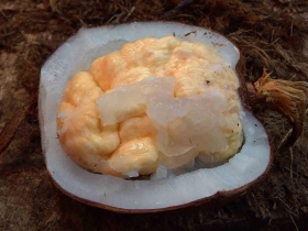  រូបលេខ៥