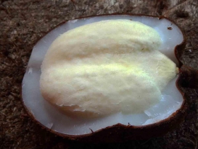  រូបលេខ៦
