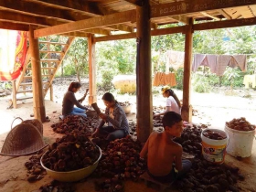  រូបលេខ៧