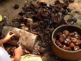  រូបលេខ៨