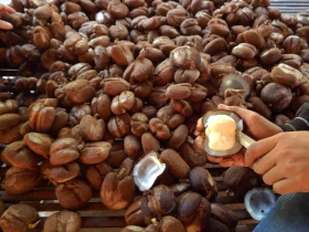  រូបលេខ១០