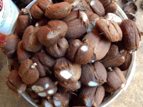  រូបលេខ១២