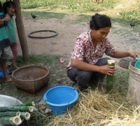 រូបលេខ២