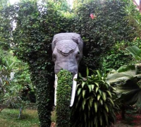 រូបលេខ២