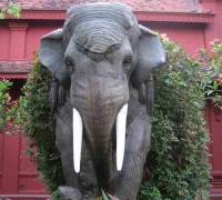 រូបលេខ៤