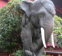 រូបលេខ៥