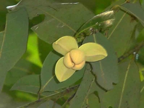 រូបលេខ៣