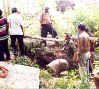 រូបលេខ១០