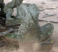 រូបលេខ២០