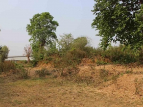 រូបលេខ5
