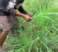 រូបលេខ៥