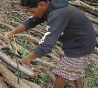 រូបលេខ១៤