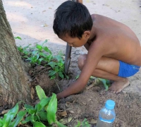 រូបលេខ២