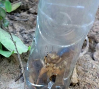 រូបលេខ៣