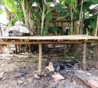 រូបលេខ៤