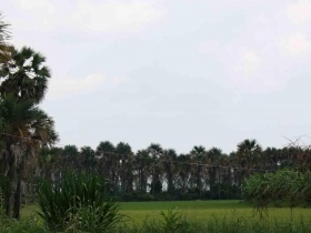 រូបលេខ១