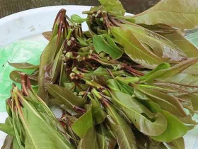 រូបលេខ១៩