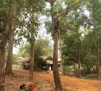 រូបលេខ១១