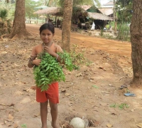 រូបលេខ១២