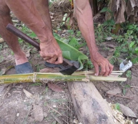 រូបលេខ៨