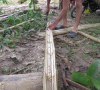 រូបលេខ៩