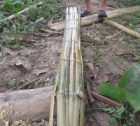 រូបលេខ១០