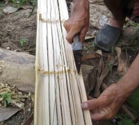 រូបលេខ១១