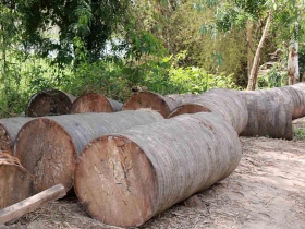 រូបលេខ៥