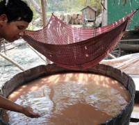 រូបលេខ១៦