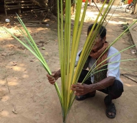រូបលេខ២៤