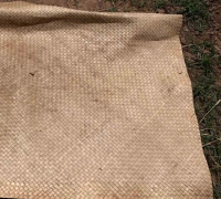 រូបលេខ២៥
