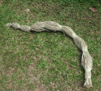 រូបលេខ២៦